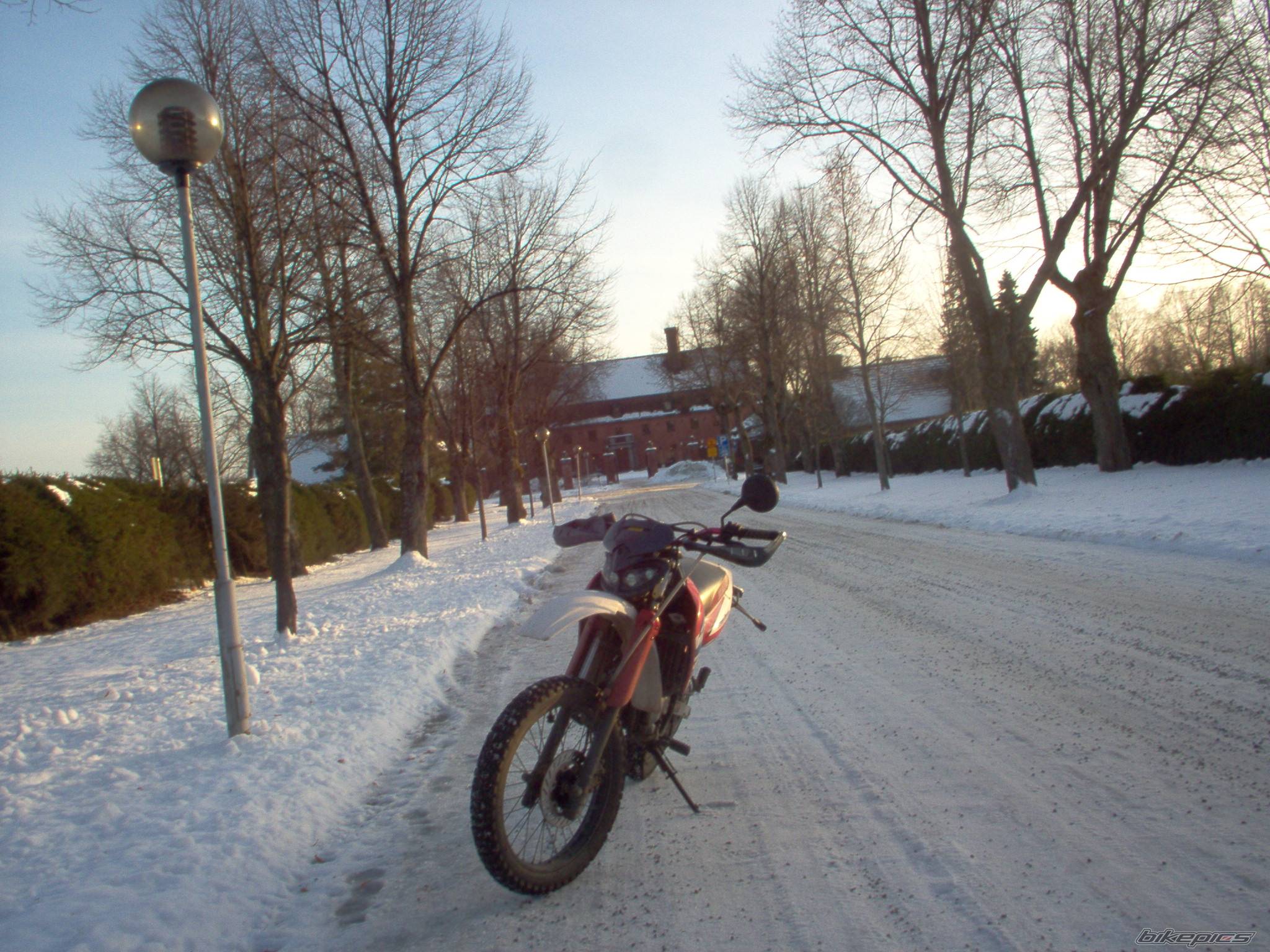 Photo 292664