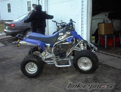 Photo 292695