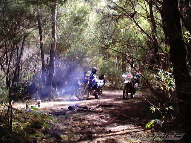 Bike Photo 292696