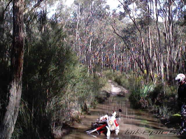 Bike Photo 292697