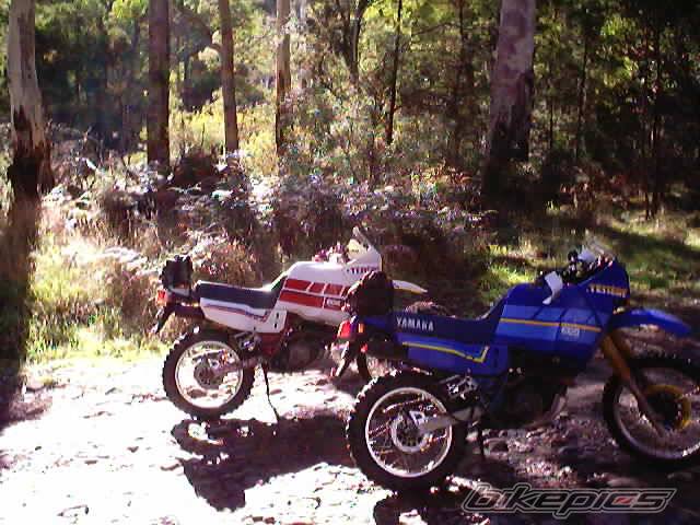 Bike Photo 292699