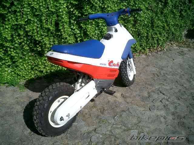 Photo 292768