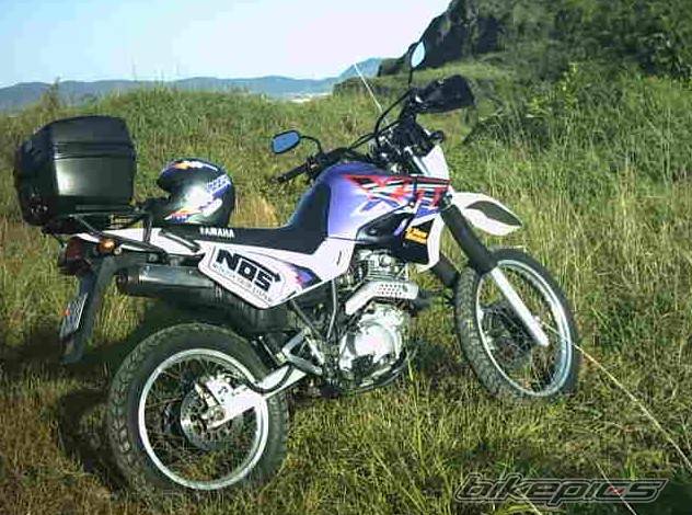 Photo 292834