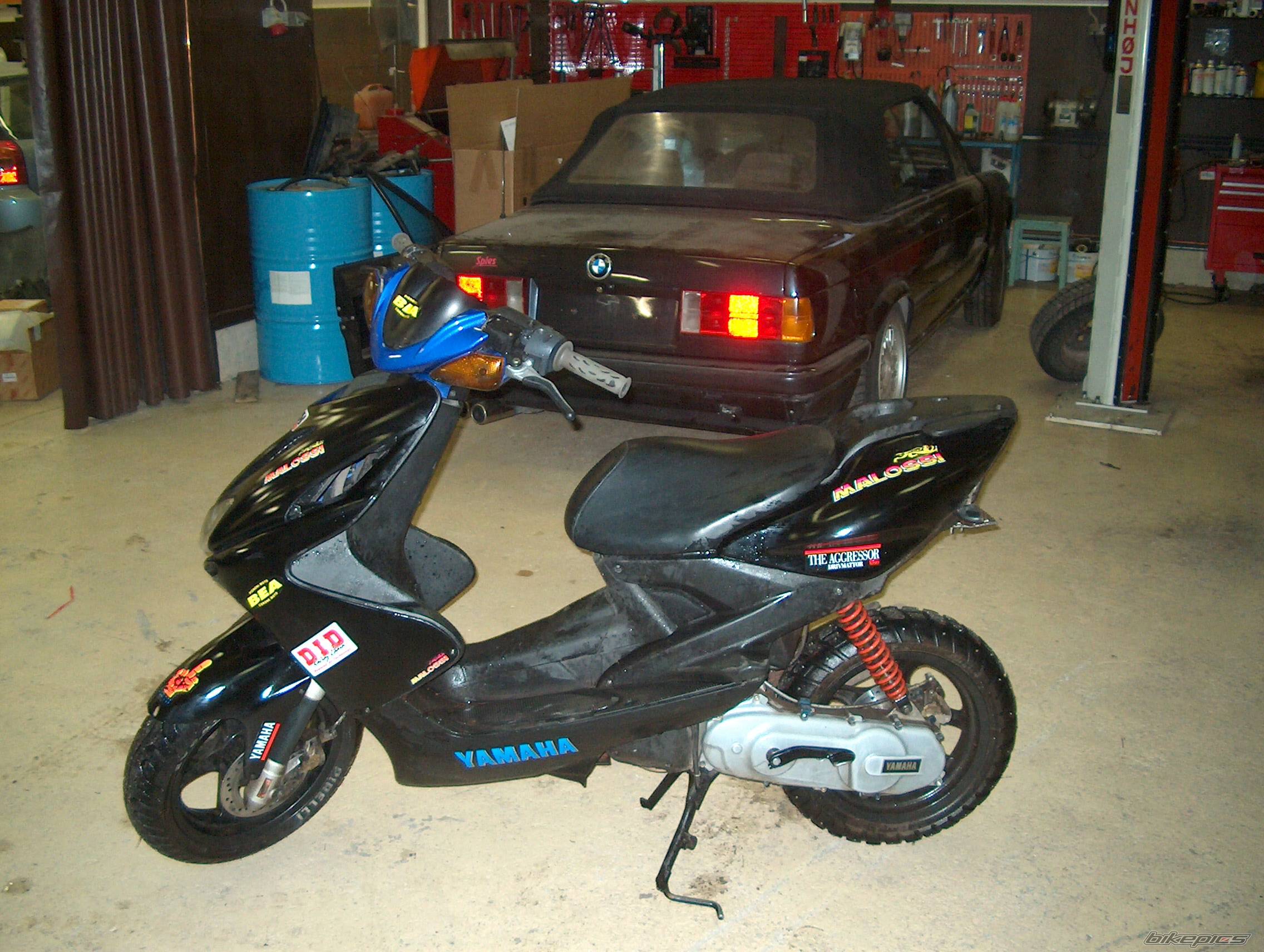 Photo 292836