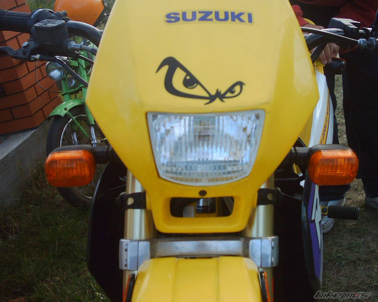 Photo 292872