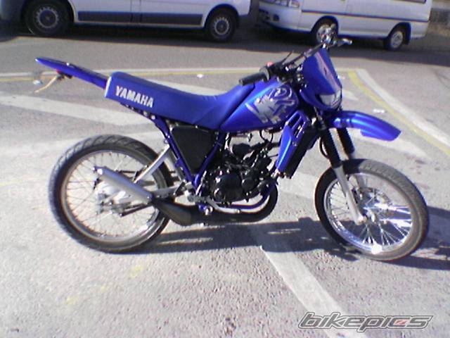 Photo 292937