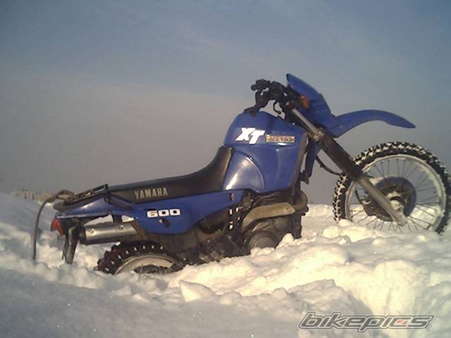 Photo 292968