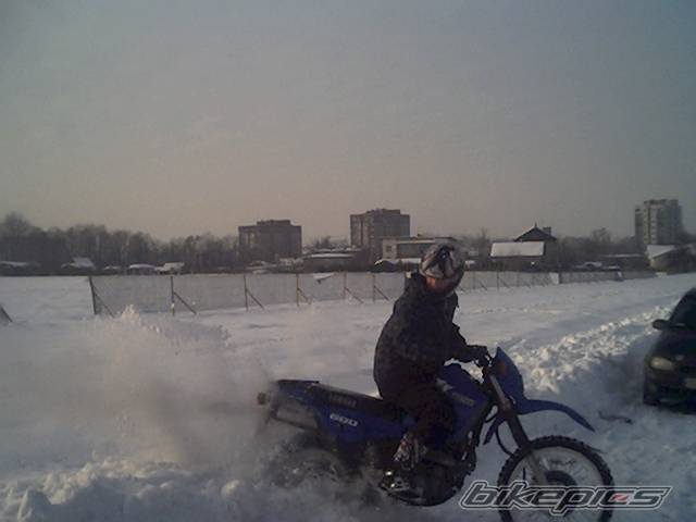 Photo 292971