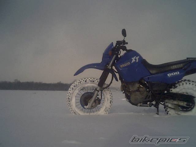 Photo 292972