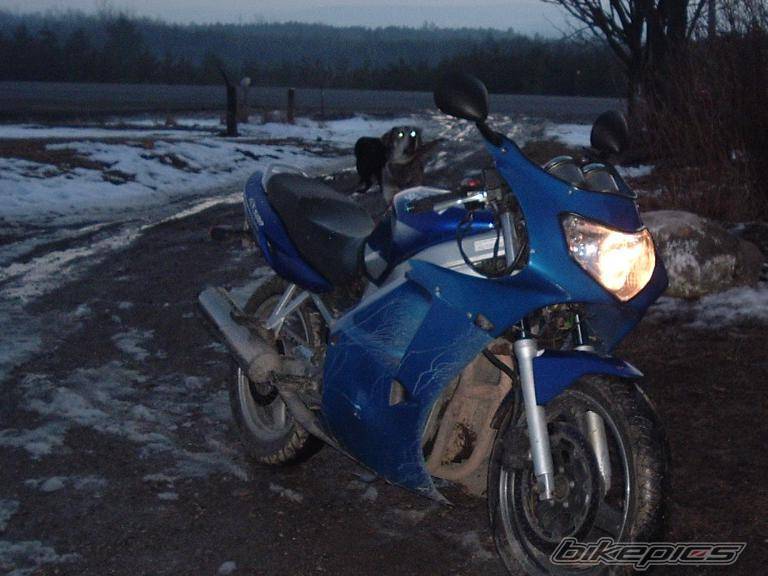 Photo 293009
