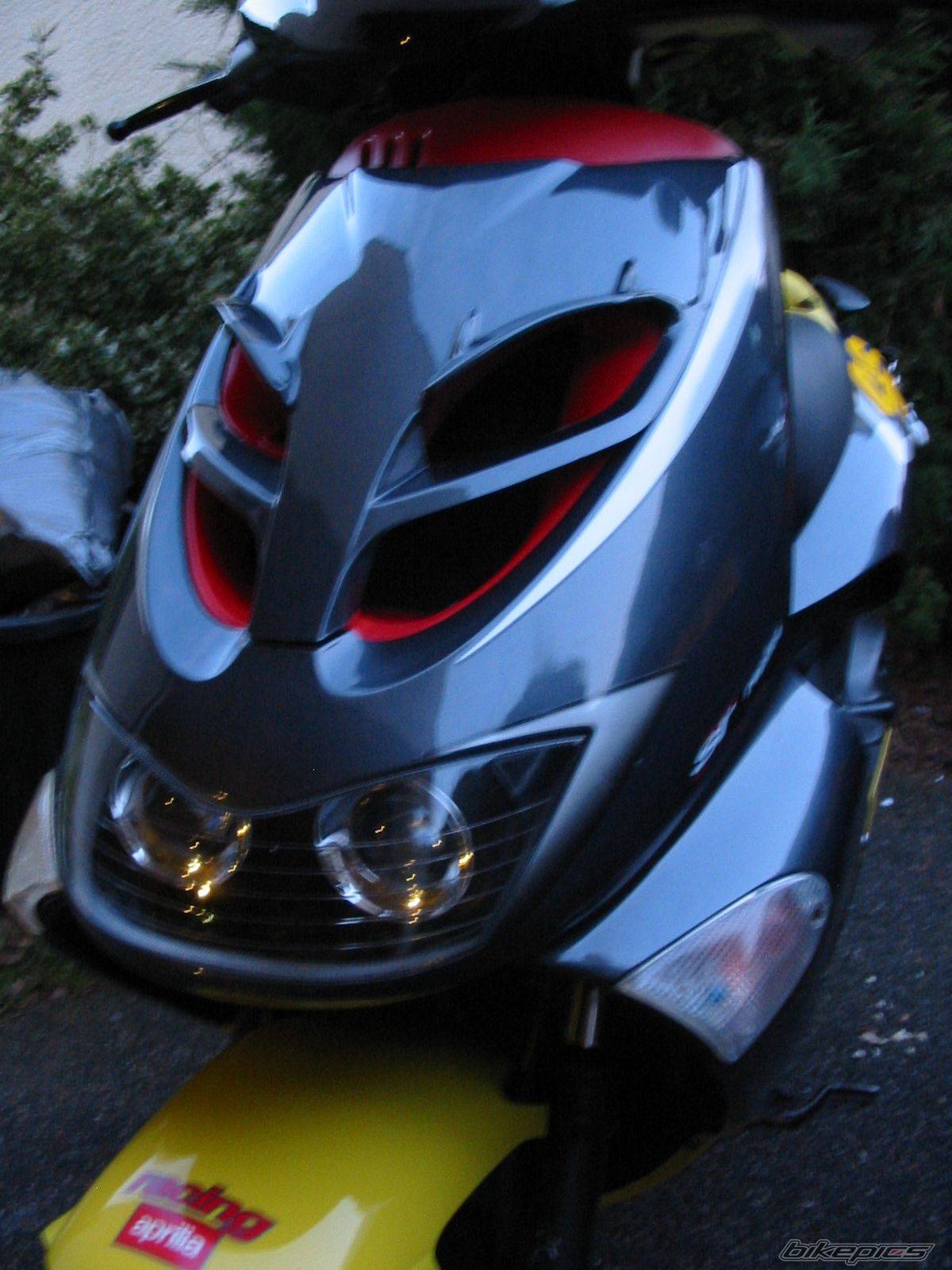 Photo 293018