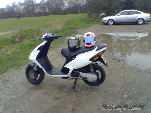 Photo 293038