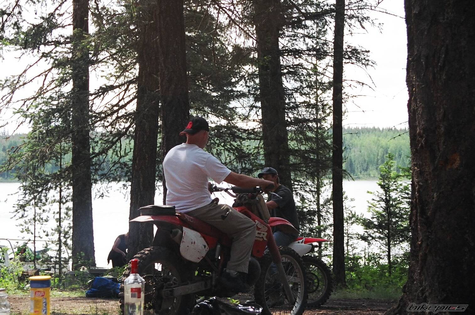 Photo 293065