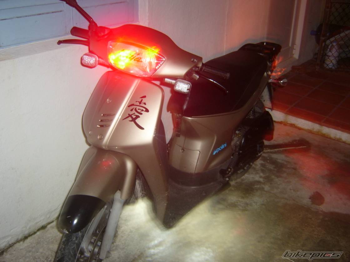 Photo 293069