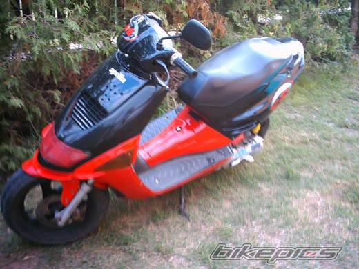 Photo 293203