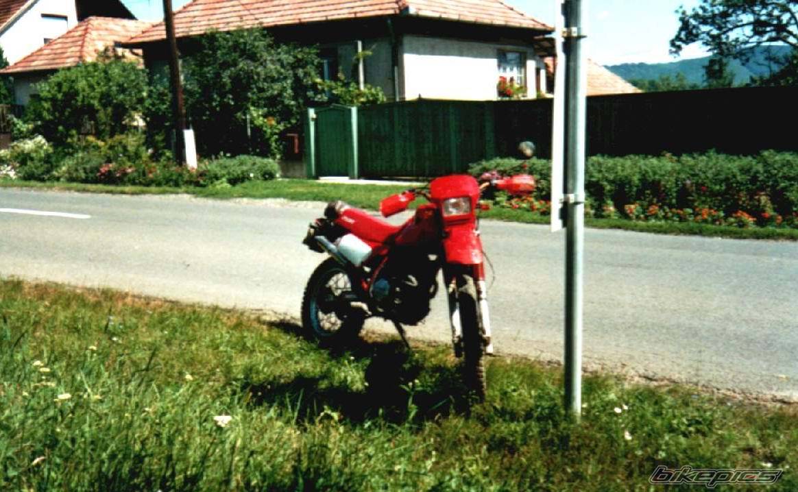 Bike Photo 293213