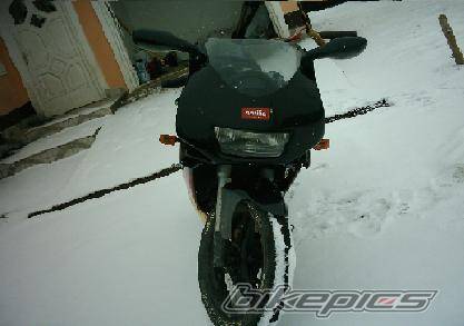 Photo 293218