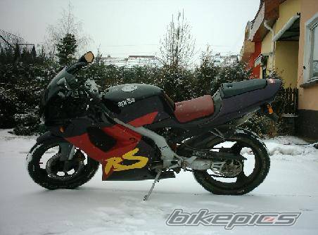 Photo 293219