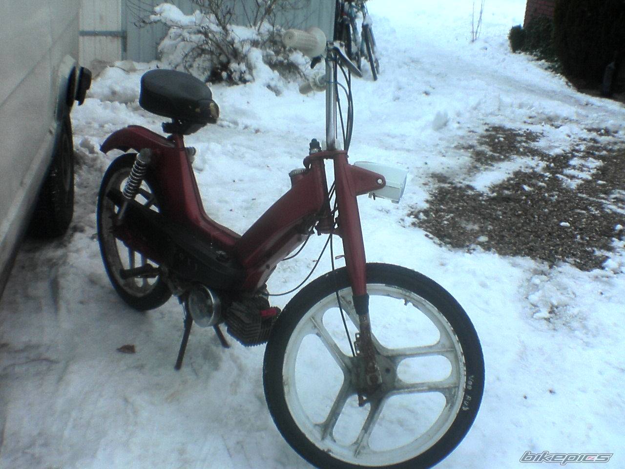 Photo 293260