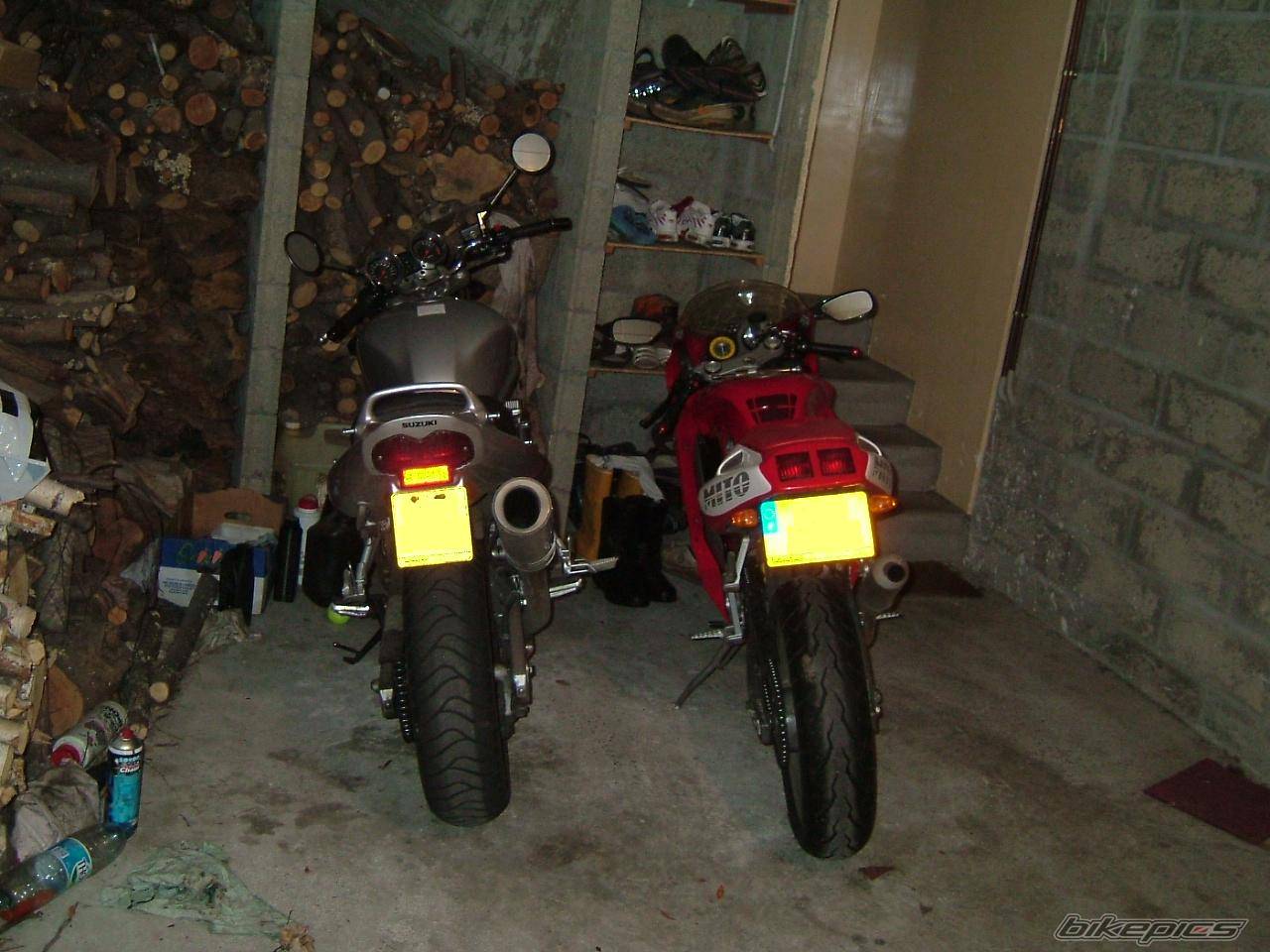 Photo 293306
