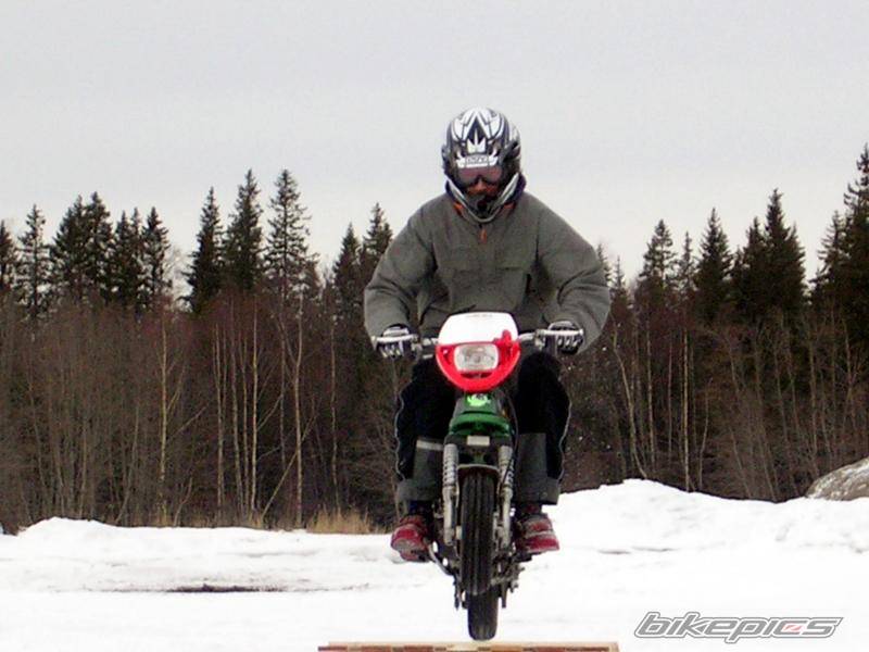 Photo 293319