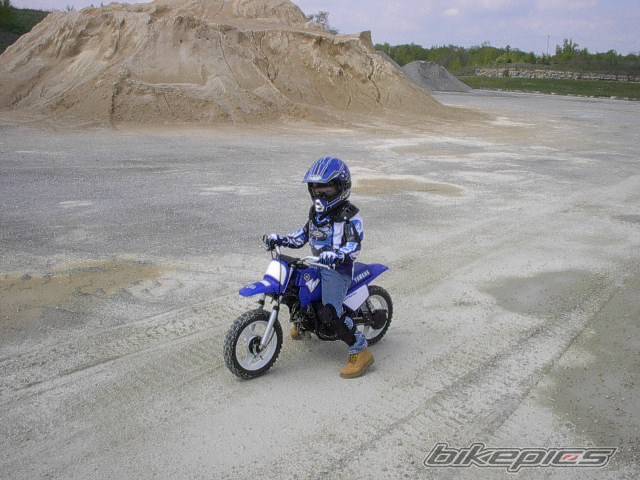 Photo 293347