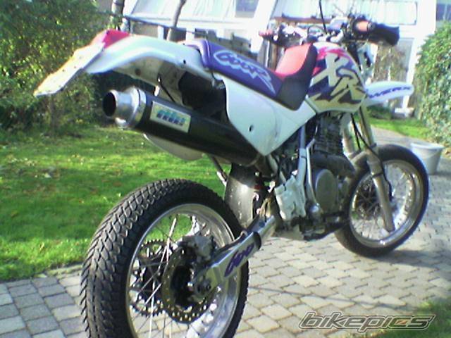 Photo 293359