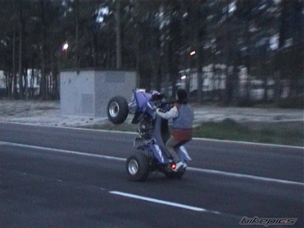 Photo 293449