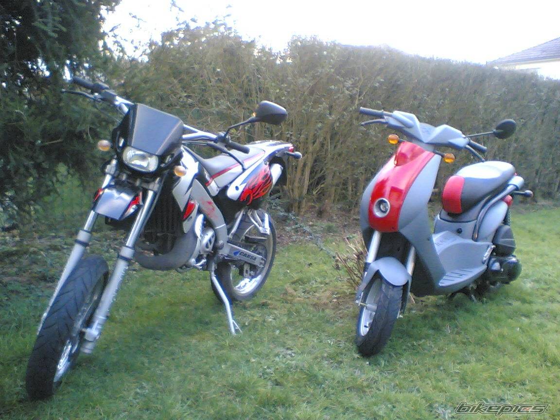 Photo 293481