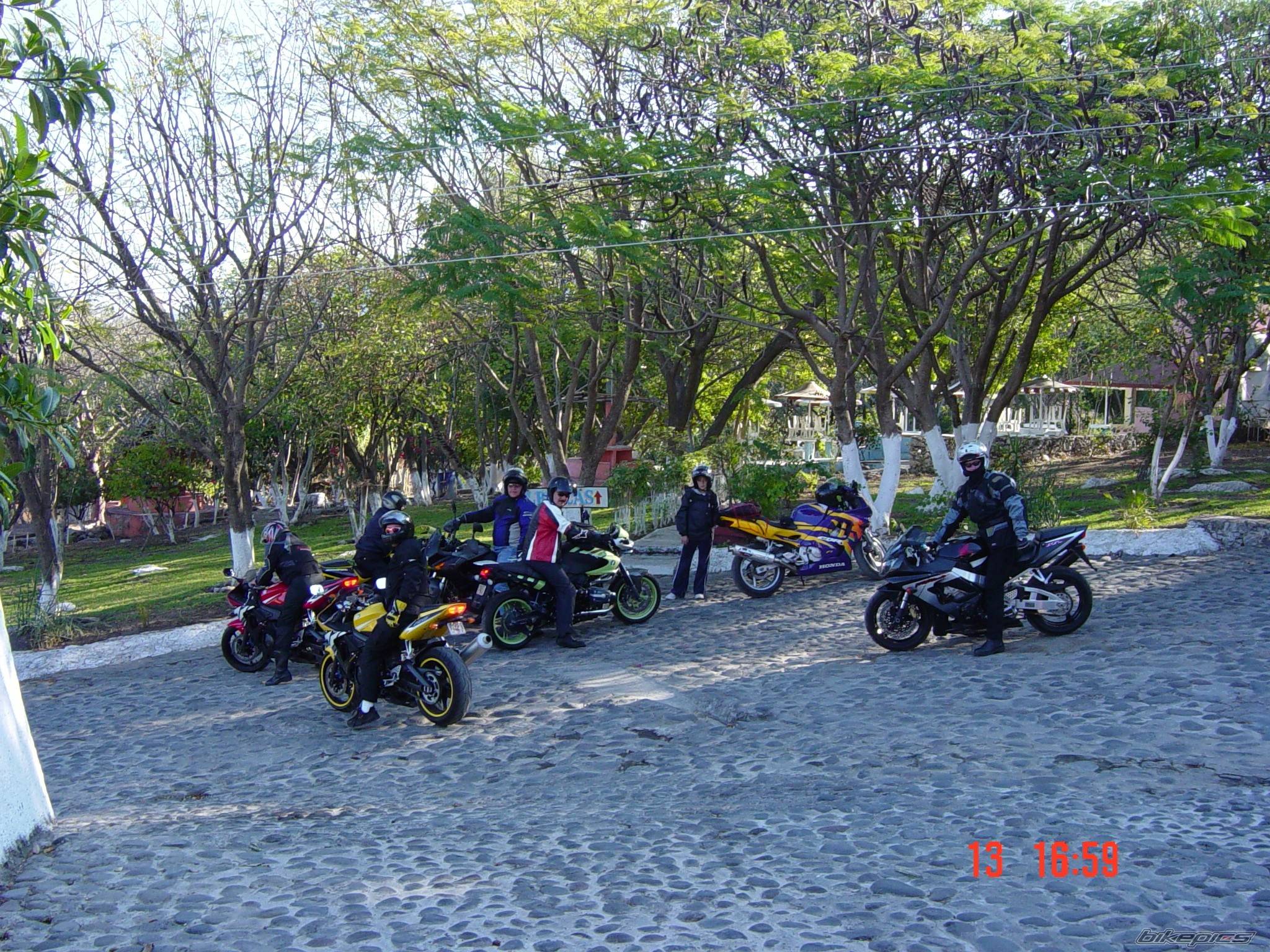 Photo 293552