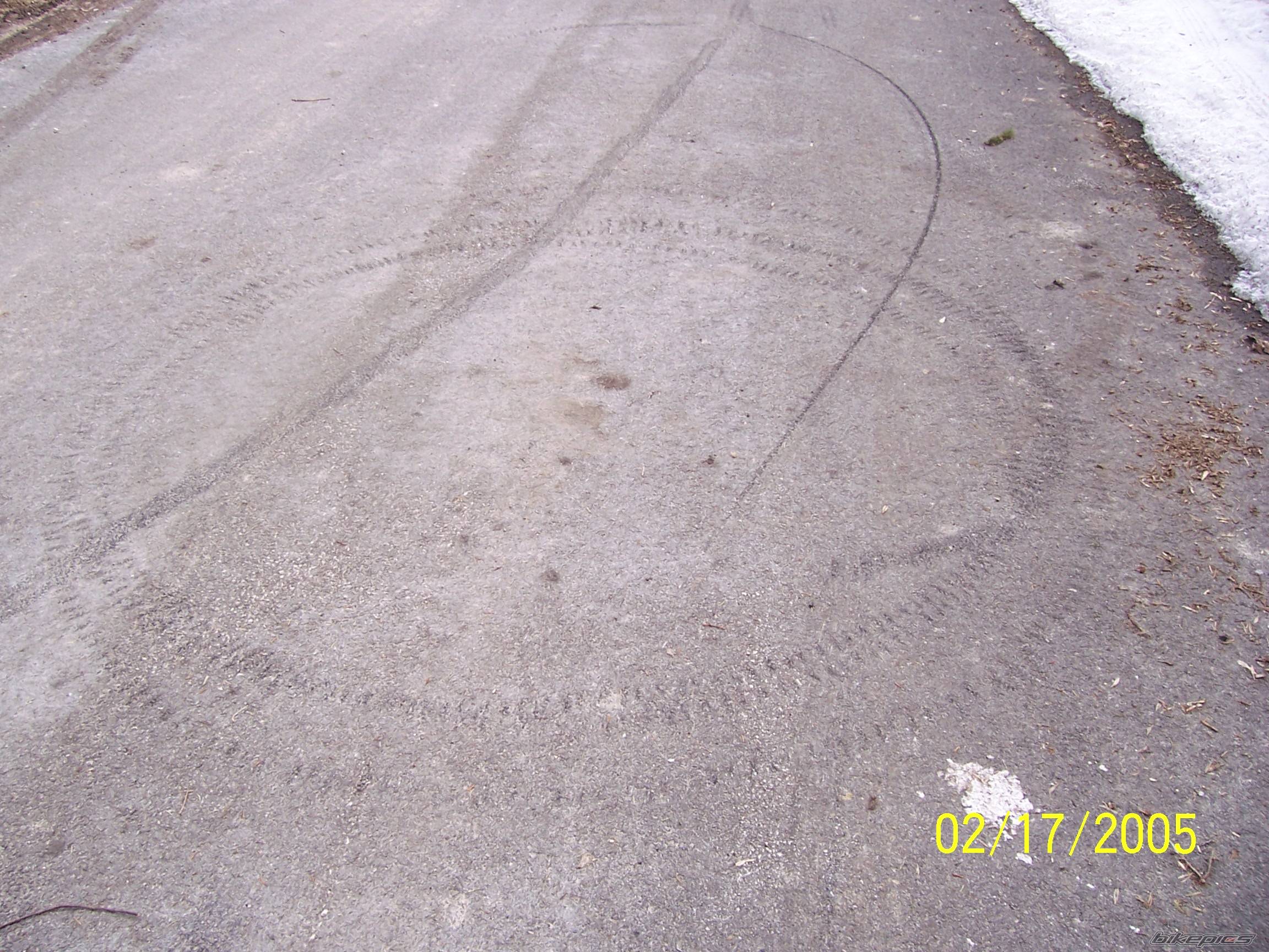 Photo 293641