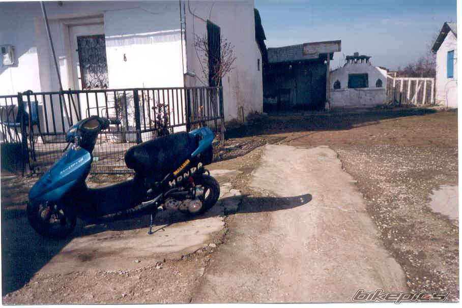 Photo 293720