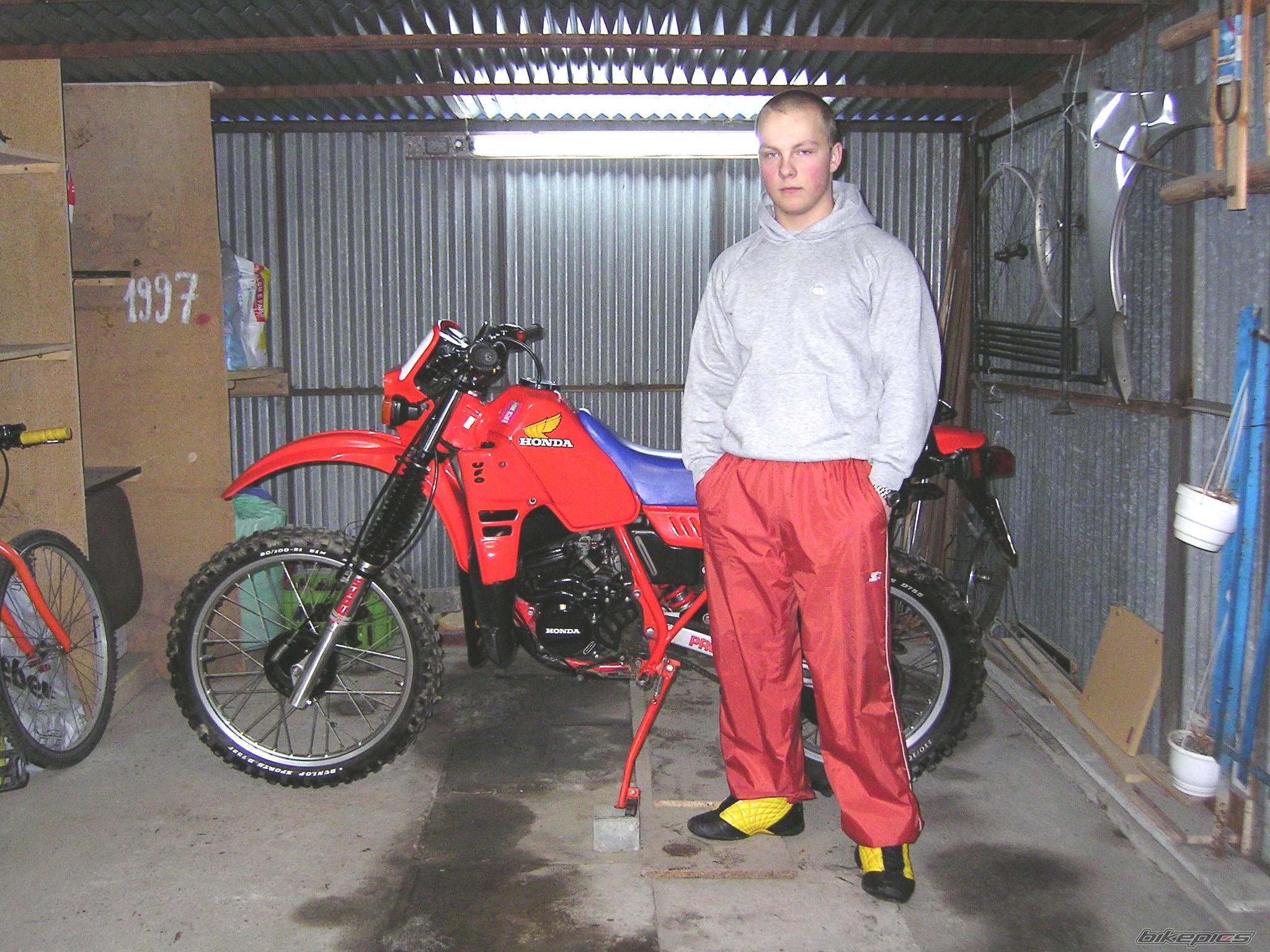 Photo 293774