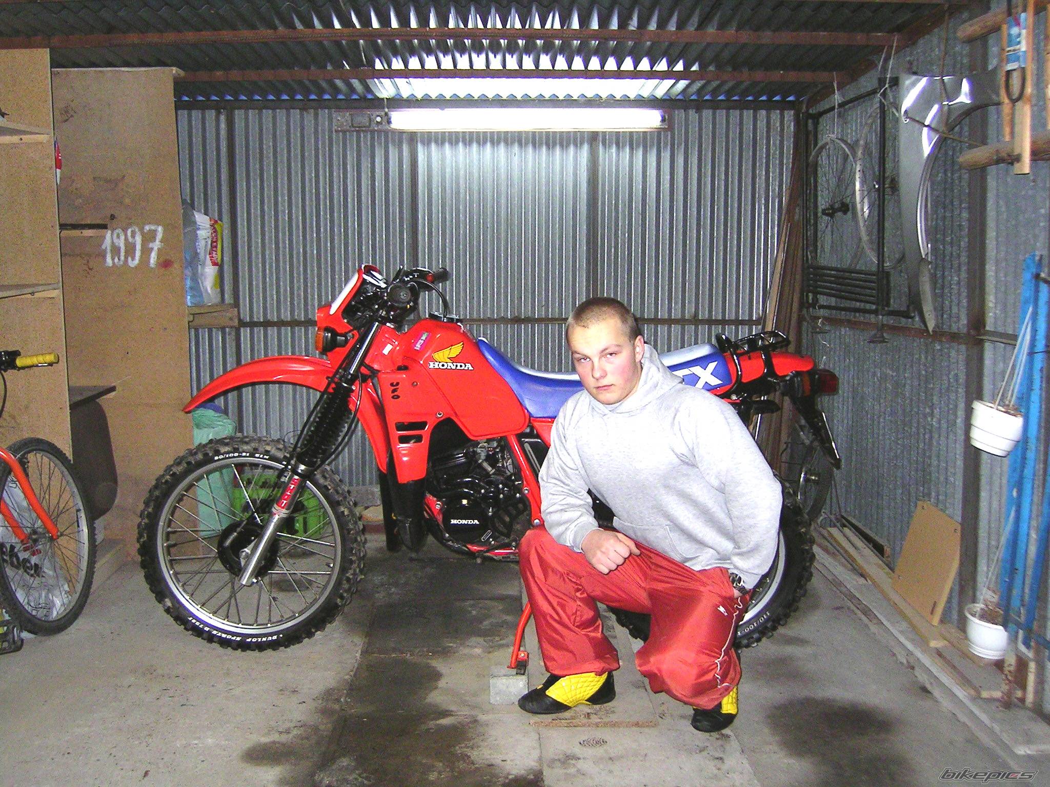 Photo 293780