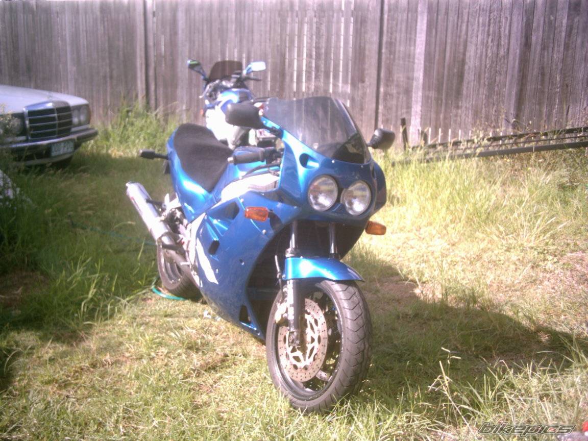 Photo 293784