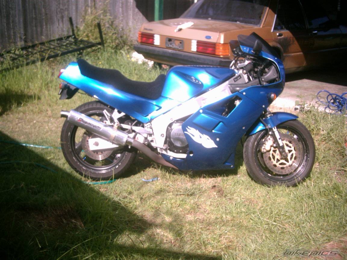 Photo 293788