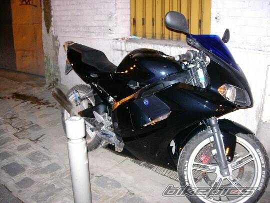 Photo 293795