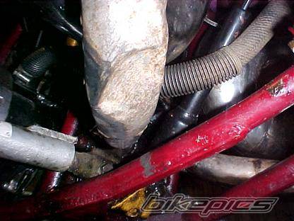 Bike Photo 293850