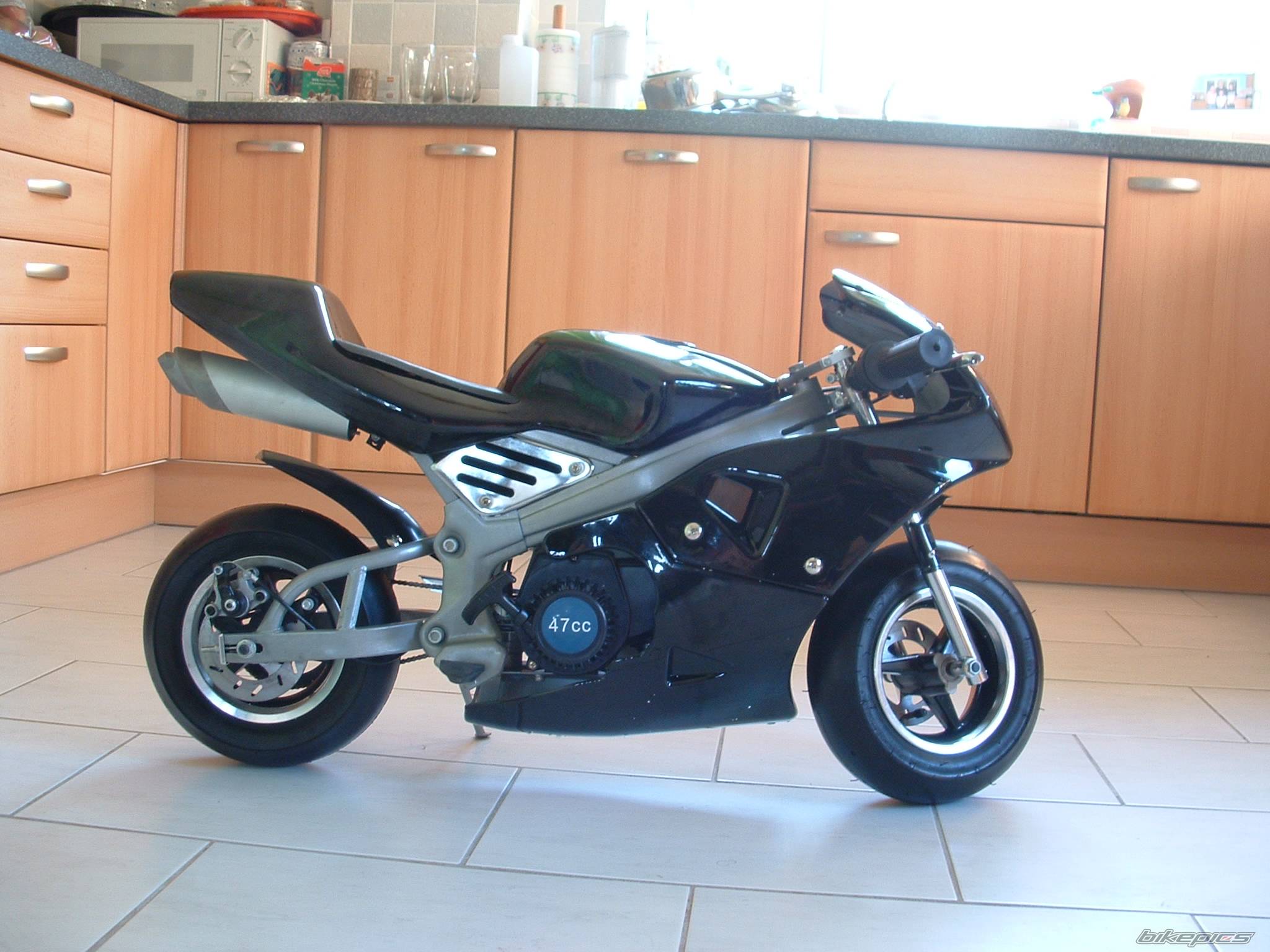 Photo 293870