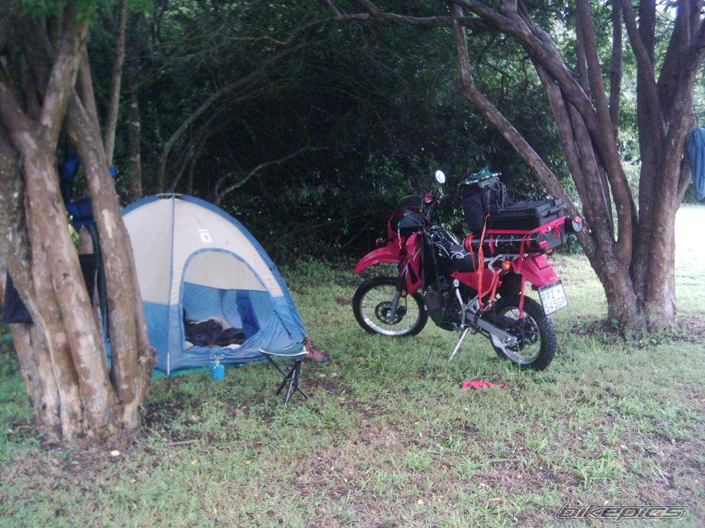 Photo 293881