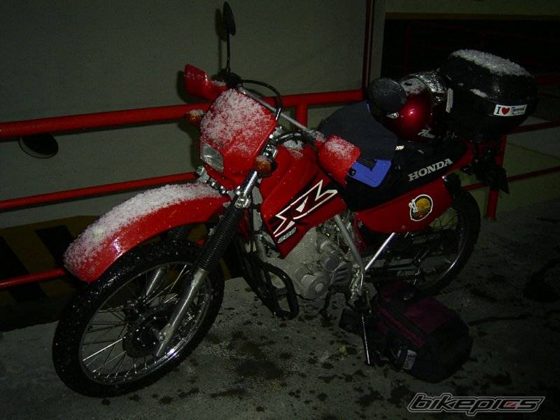 Photo 293888