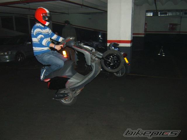 Photo 293911
