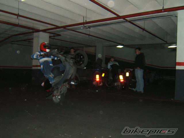 Photo 293912