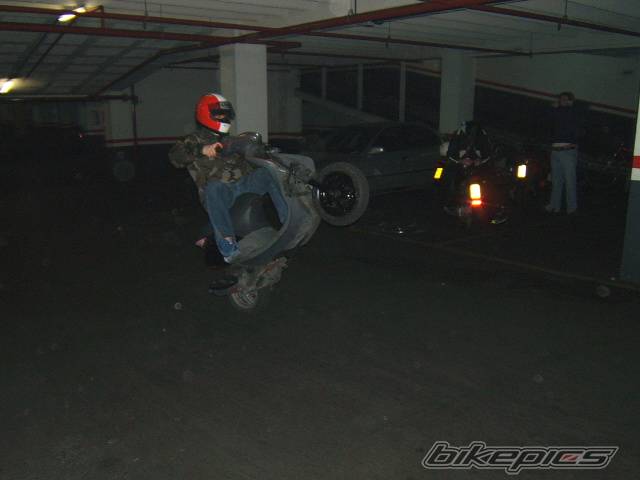 Photo 293914