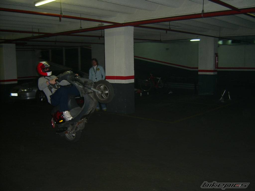 Photo 293919