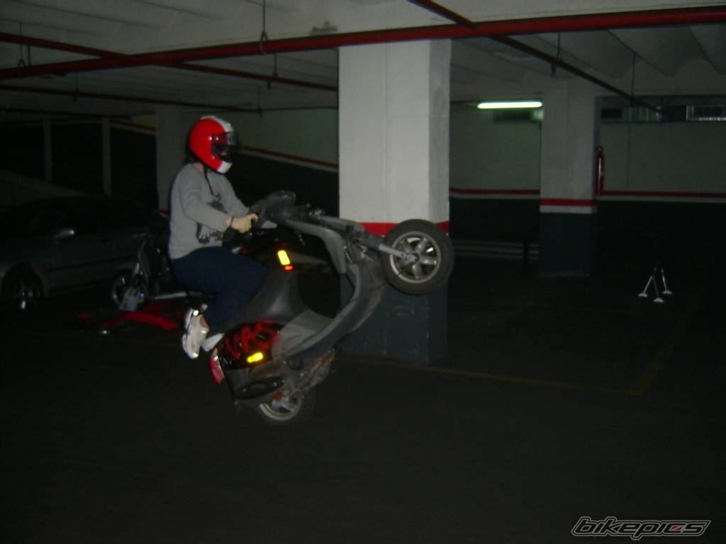 Photo 293921