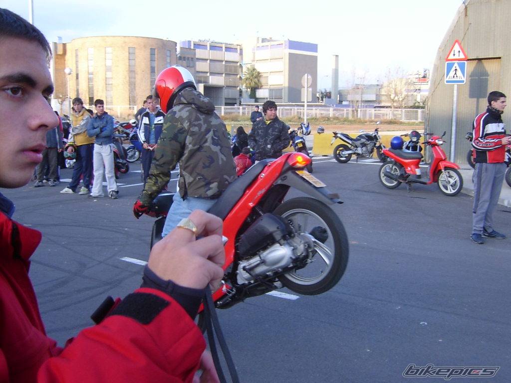 Photo 293924