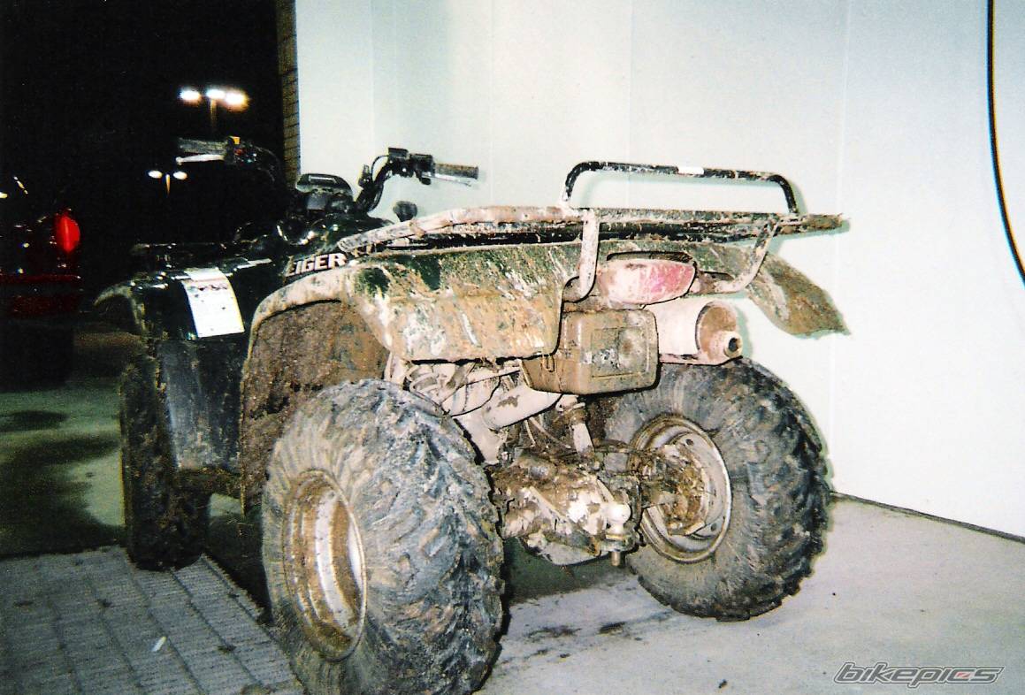 Photo 293940