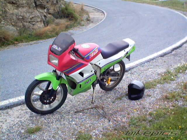 Photo 293977