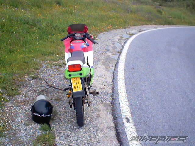 Photo 293980